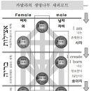도마복음 말씀 19 - 존재하기 전에 존재하는 자, 낙원의 다섯 나무 이미지