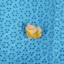 로이종합동물병원 이미지