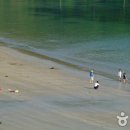 금갑해변 Daum카페