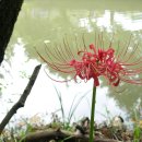 다정한소아청소년과의원 이미지