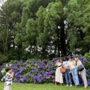 청파목장 이미지