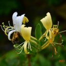 수리산역 이미지