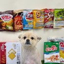 베베도그 이미지