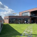 더멍멍컴퍼니 이미지