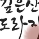 도라지마켓 - 고양시 일산서구 | 도라지마켓