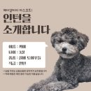 까미헤어갤러리 | 둔촌동역 미용실 블링드살롱 둔촌동역본점 (구) 헤어갤러리 강동구 복구볼륨매직으로 스타일변신