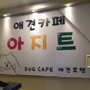 댕댕이아지트 이미지