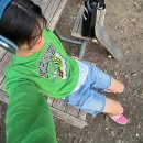 하이츠세탁소 | 여름결산과 카츠에 관한 고찰