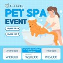 복이네도그살롱 네이버블로그