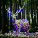 베이커리해녀의집2