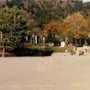 동점초교 이미지