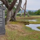 나정주유소 이미지