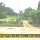 소나무가든 이미지