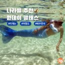 사누르 제주 | 이거 하러 감자! 나라별 원데이 클래스