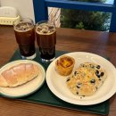 파티세리소나 | 파티세리소나 마곡역 카페 디저트 블루리본 맛집 추천 메뉴는?