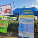 코스모스공원 | 구리 코스모스 축제 후기 구리 한강시민공원 실시간 상황