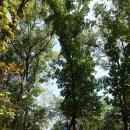 반곡관설동행정복지센터 이미지