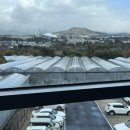 섬사우나 | 제주 서귀포 온수풀 수영장 호텔 : 더 그랜드 섬오름 신관 내돈내산 추천 (+사우나•실내수영장 후기)