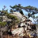 금골산 주유소 이미지