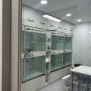 대구축산 동물병원 | 대구동물병원 후기, 강아지·고양이 전문 진료