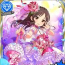 (주)아리스 이미지