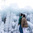 산림욕장 이미지