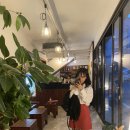 519비어 이미지