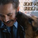 안아줄개 이미지