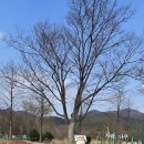 7131 | 해운대 신상놀이터 부산아이랑 가볼만한곳 해운대수목원과 꿈의놀이터 방문 후기