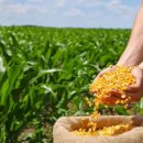 전통햇살협동조합 이미지