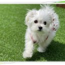 아이조아요양보호소 전남광주점 네이버블로그