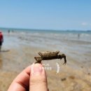 제부낙조 이미지