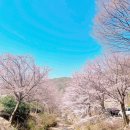 안성운모석캠핑장