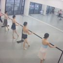 로이발레학원 네이버블로그