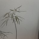 석부작 | 이천 플랜테리어 추천 it moss 잇모스 석부작 클래스