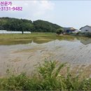 팔지보건진료소 네이버블로그