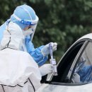 사하구-35 이미지