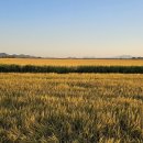 순천펜션 702 이미지