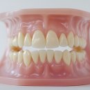 바른이만들기치과교정과치과의원 이미지