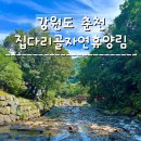 춘천 : 물놀이와 취사가 가능한 천연 계곡 숲캉스 집다리골자연휴양림