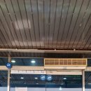 농협신니 이미지