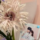 사랑한바구니 - 강서구 명지국제7로 130 | 사랑한바구니