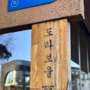 도라보울 | 안국 스프카레 들어보셨나요? 도라보울 내돈내산 솔직후기