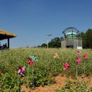 이정호농장 이미지