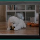 작은한강 부군당(한남제2부군당) 이미지