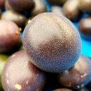 선두농장 이미지