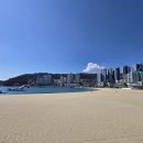 송도해수욕장 이미지