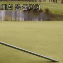 그린클럽 골프연습장 이미지
