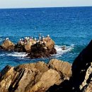 일출공인중개사사무소 이미지