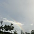 팜파라치킨 이미지